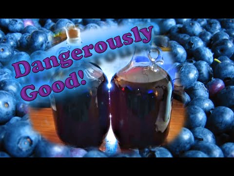 My Mead Diaries - Ep 6, Blueberry Mead - Second Racking and Taste Test!