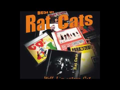 Rat Cats: Ready to rock!