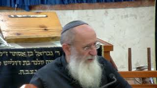 וְנָתַן עָלָיו מַיִם חַיִּים אֶל כֶּלִי – שיעור 73 – ספר במדבר