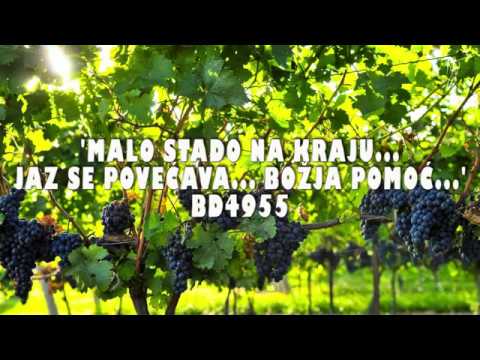 (Ivan 10:16) Bertha Dudde br: 4955 - 'Malo stado na Kraju... Jaz se povećava... Božja pomoć...'