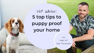 Tails.com — 5 top tips to puppy proof your home