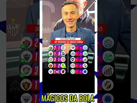 Palpites #brasil #futebol #flamengo #santos #palmeiras #saopaulo #corinthians #mirassol #cruzeiro