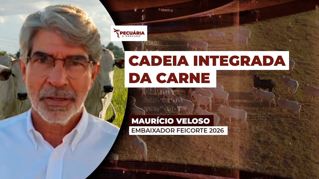Feicorte 2026 tem a missão de integrar os elos da cadeia da carne com produção tecnológica e...