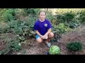 Madeline S 4 H Small Garden Project