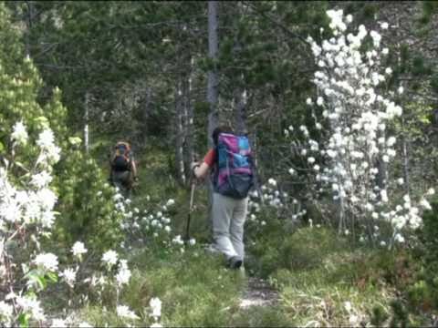 Monte Cimadors da Monticello - SentieriNatura 2009 - 07
