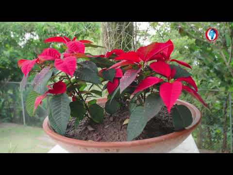 Karleen Smith's Safe Haven