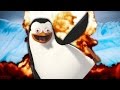 The Littlest Penguin A Cough KID FRIENDLY Cough NATURE DOC