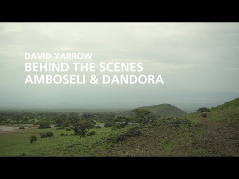 Behind the scenes: David Yarrow's 'Amboseli & Dandora' Special Project