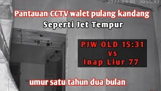 Download lagu PJW OLD VS INAP LIUR 77 PANTAUAN CCTV WALET PULANG KANDANG mp3
