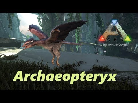 Archaeopteryx (tameo, habilidades,...) - Animales #ARK