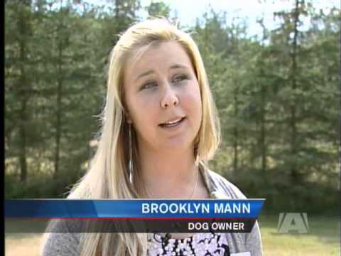 Dognapping Mystery: Crofton family needs you help