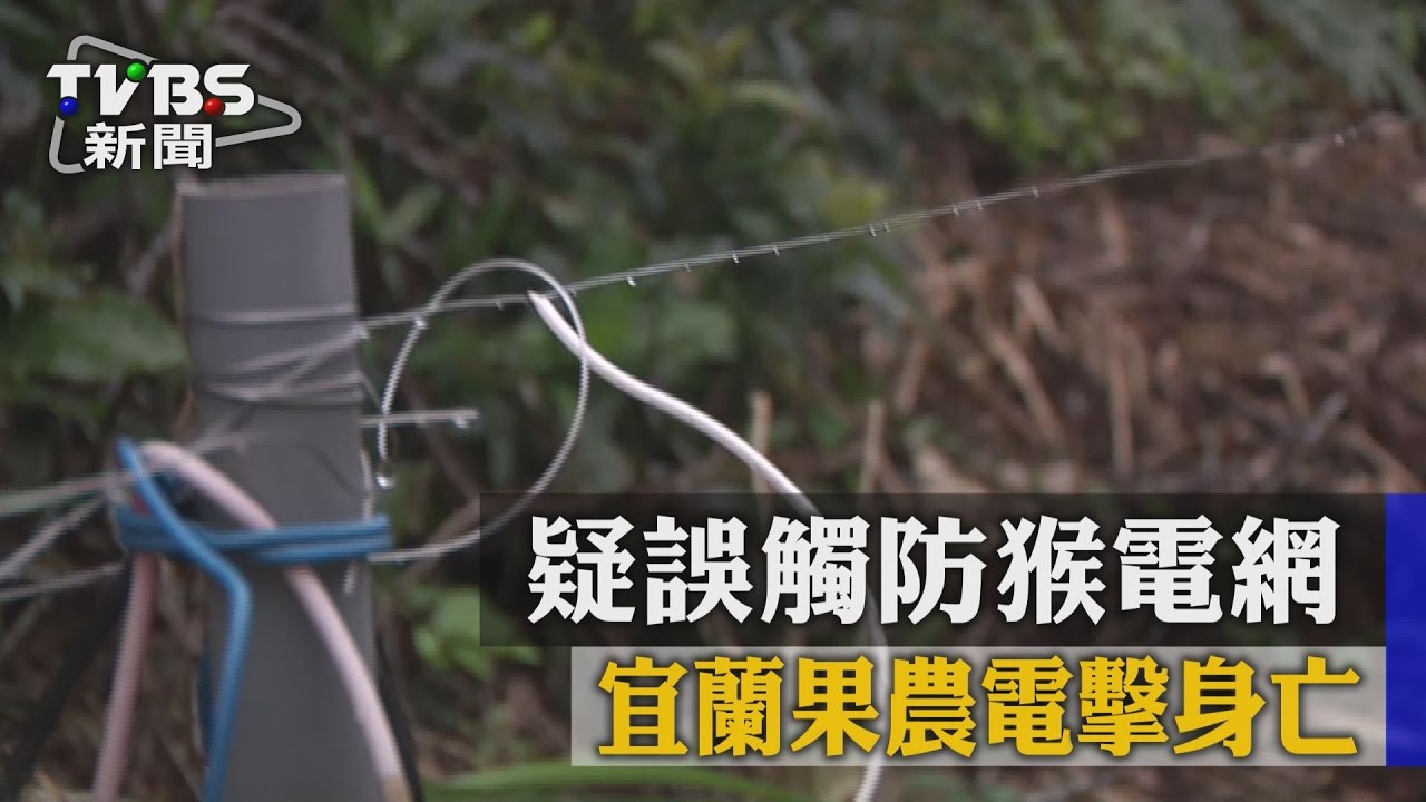 疑誤觸防猴電網　宜蘭果農電擊身亡