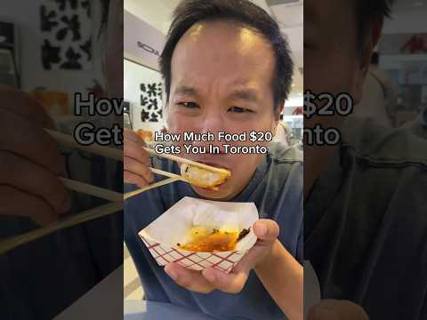 How Much Food $20 Gets YOU 🫨at a Hidden Gem Foodcourt in Toronto