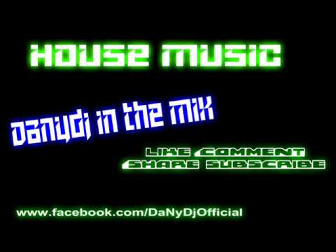 Best New House & Electro Music 2013