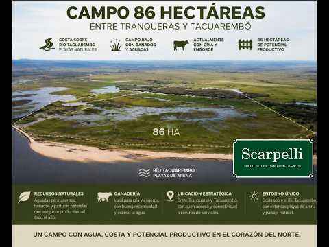 ♦Campo 86 hás #Rivera #Uruguay Próximo #Tranqueras Costas al #Tacuarembó Prox. Ruta 5 #scarpelli