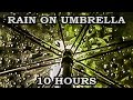 Relaxing Rain Sound Under Umbrella 10 Hours Video