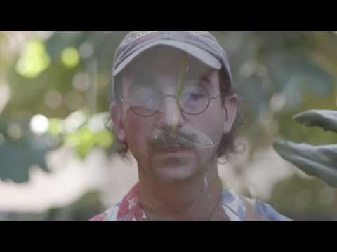 Ferla - Wasted On You (Official Video)