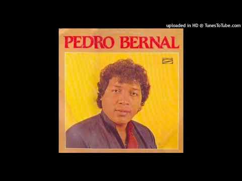 Pedro Bernal_Oi tudo bem