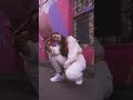 Rashmika Mandana Best Dance At Mumbai Airport Rashmika Rashmikamandanna Newmovie Sexy Cute