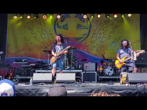 Pigeons Playing Ping Pong  Levitate Music Festival 7/9/17 - Fun In Funk