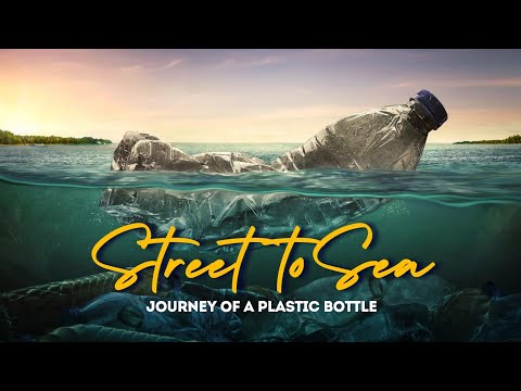 Street to Sea | One Minute Award winning film | Environmental Short Film
