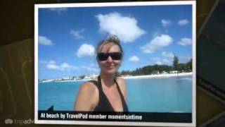 preview picture of video 'Barbados: Sea Turtle & shipwreck snorkel Momentsintime's photos around Barbados, Barbados'