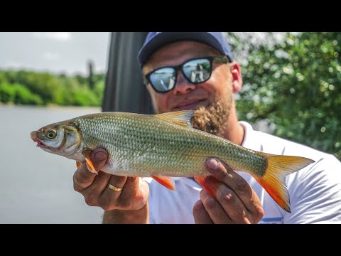 ABC rzecznego feedera