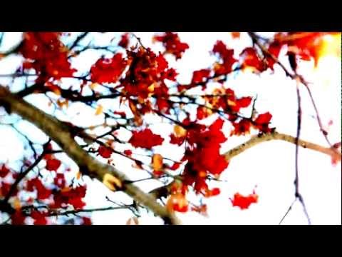 Bustrexx ft CoMa - Just Say (Reprisal)