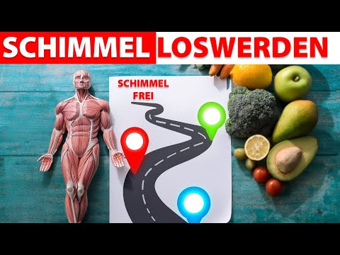 Die Schimmel-Roadmap: Wie er deinen Körper zerstört – und was wirklich hilft!