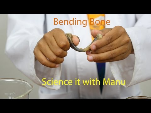 49 series: #39 - Bending bone
