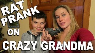 FUNNY RAT PRANK ON CRAZY GRANDMA! ( She screams so loud!)