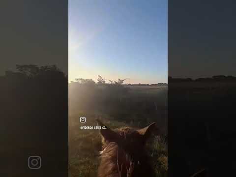 Campo en Venta Bella Vista Corrientes  #inmuebles #naturaleza #venta #inversion