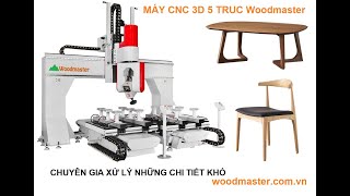 MÁY CNC 3D 5 Trục 2 Bàn Woodmaster gia công 5 Mặt Siêu tốc