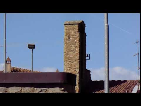 Church Bells ringing in Arezzo Italy