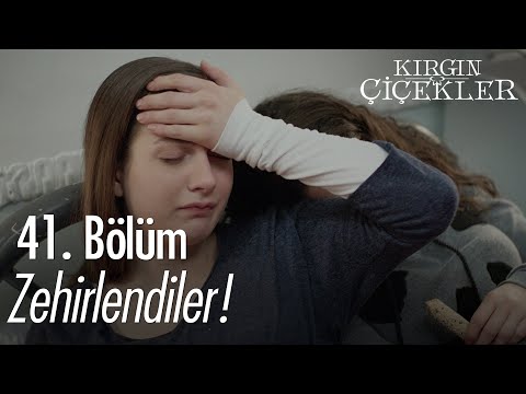 Kızlar zehirlendi! - Kırgın Çiçekler 41. Bölüm
