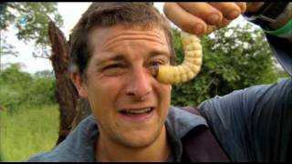Download lagu Man vs. Wild - Bear's Ultimate Survival Guide Part Two  - Bear's Gourmet Menu mp3
