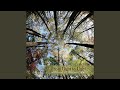 Deep River (feat. Gerre Hancock)