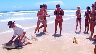 Nice Blacktip Shark Fishing Daytona Beach Florida & GIRLS!
