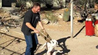 Mike Francis, My Girl Meja doin what she loves most.......makin me tired.....