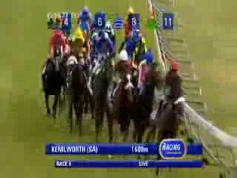 2013.12.07 Cape Fillies Guineas - In The Fast Lane