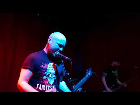 Revenge of the Psychotronic Man - Drinking in the van + Look at me I'm a fucking tiger