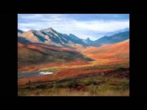 Dame de tu bendición israel camey