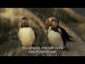 Nat Geo Wild WILD SCOTLAND THE WESTERN ISLES National Geographic Animal