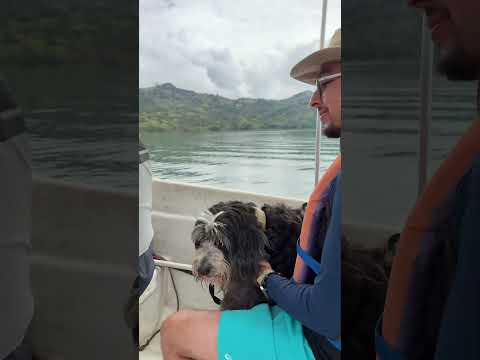 Gachala es uno de los secretos mejor guardados de cundinamarca 🍃