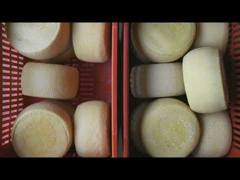 Κεφαλογραβιέρα Αμφιλοχίας ΠΟΠ