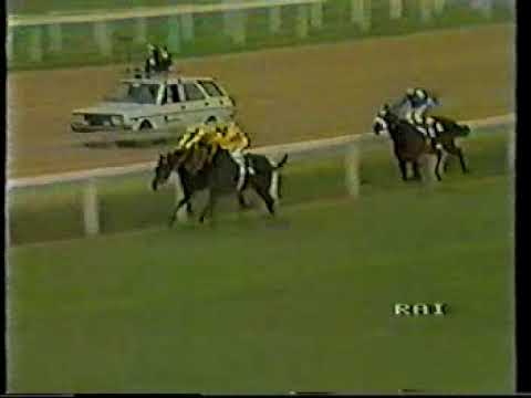 DERBY ITALIANO DEL GALOPPO 1984 WELNOR LESTER PIGGOTT