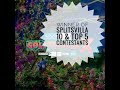Winner Of Splitsvilla 10 Revealed Top 5 Contestants And Idol Match Of Splistvilla 10