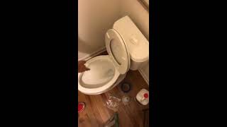 Toilet won't Flush water stays in bowl Easy FIX Solution siphon jets cleanout.