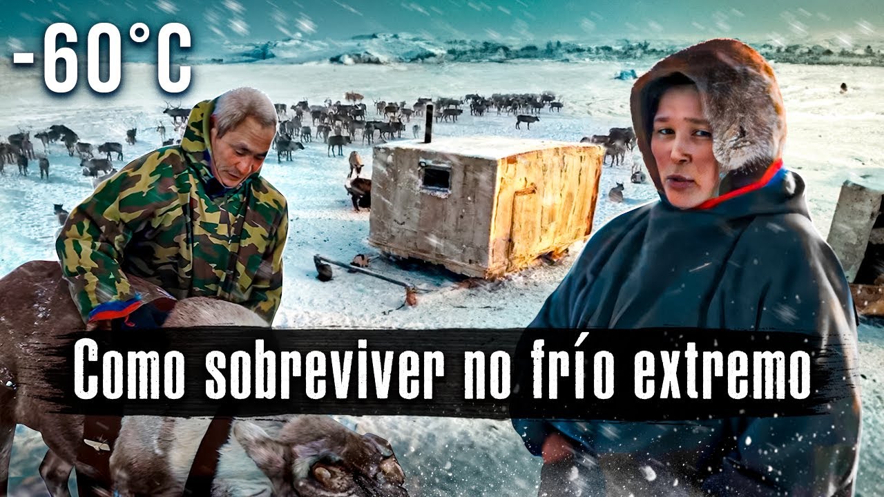 Como vivem os pastores nômades do ÁRTICO / Sobrevivência extrema a -60º