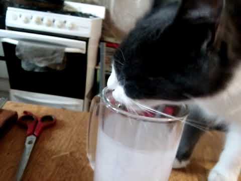 Atrapada con las manos en la masa